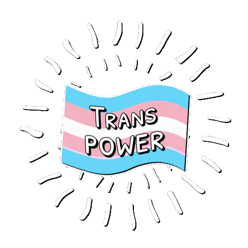 Trans Power Sticker by Taimi
