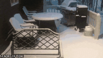 timelapse snow GIF by Cheezburger