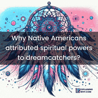 Native Americans Protection GIF by ExplainingWhy.com