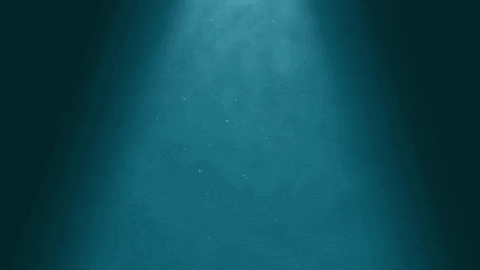 Funny GIF by SaveMyBacon