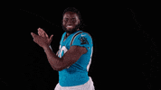 Happy National Football League GIF by Carolina Panthers
