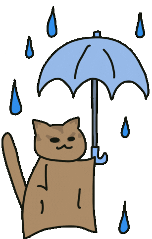 Heavy Rain Sticker