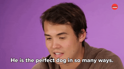 Dog Love GIF by BuzzFeed