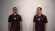 League Of Legends Lol GIF by G2 Esports
