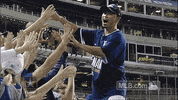 kc GIF by MLB
