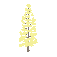 Canadian Tree Sticker