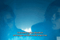 Doctor Who Dw GIF by BBC America