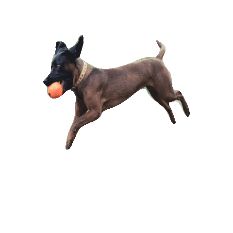 Итон Sticker by Romtat Farm