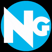 skinewgen snow mountain ski skiing GIF