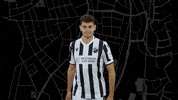 Svs1916 GIF by SV Sandhausen
