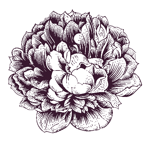 Pink Flower Sticker