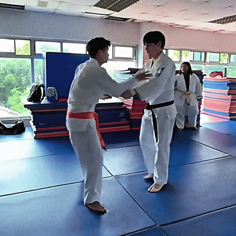 Judo GIF