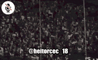 Atletico Mg Frangas GIF