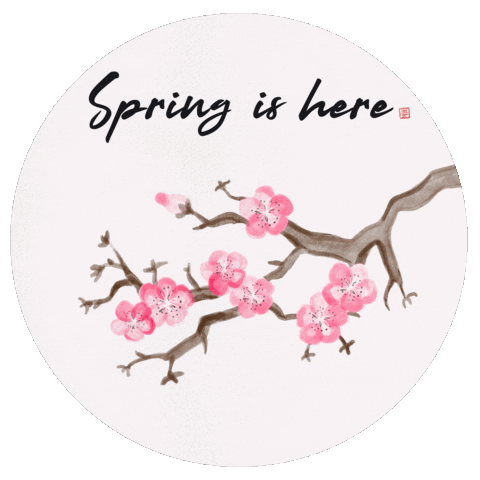 May Cherry Blossom Sticker by Babybluecat