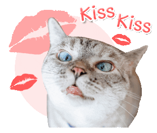 nalacat whitecoffeecat Sticker