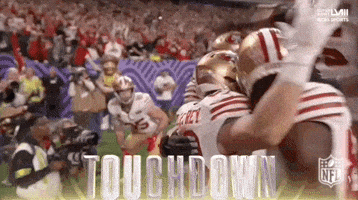 Super Bowl Sport GIF by NFL