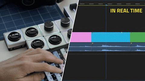 moth10 giphyupload GIF