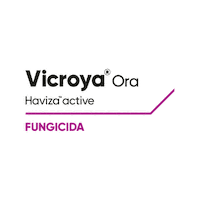Vicroya Sticker by Cortevapy