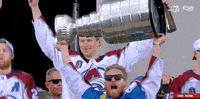 Stanley Cup Sport GIF by NHL