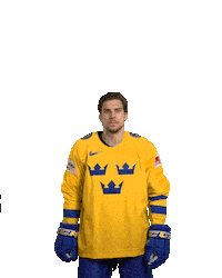 Ice Hockey Goal Sticker by International Ice Hockey Federation