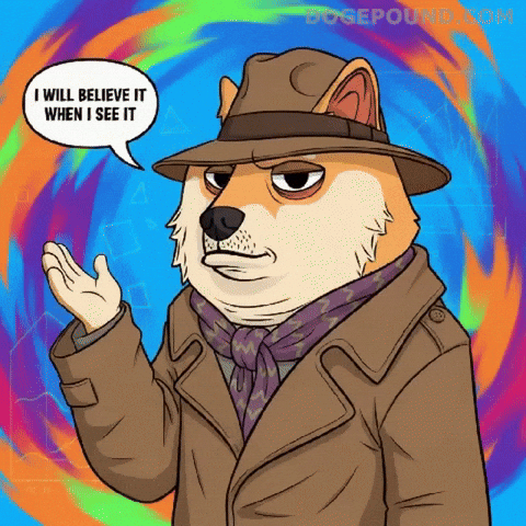 Suspicious Believe It GIF by Doge Pound