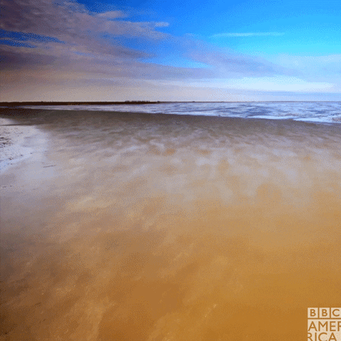 Low Tide Space GIF by BBC America