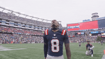 Lets Go Football GIF by New England Patriots
