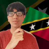 Saint Kitts And Nevis Pride GIF