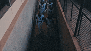 West Virginia Sport GIF by WVU Sports