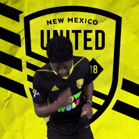 Pro Soccer GIF by New Mexico United