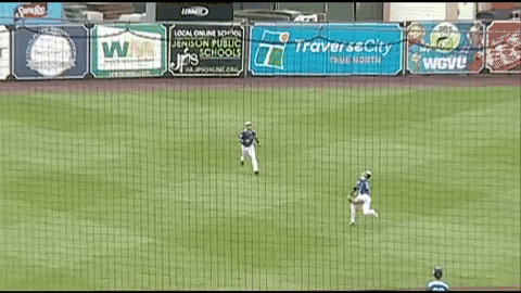 baseball catch GIF by West Michigan Whitecaps 