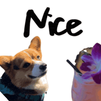 Corgi Milo Sticker