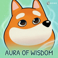 Close-Up GIF by BONK