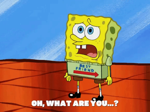 season 5 000 patties under the sea GIF by SpongeBob SquarePants