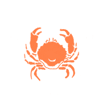 surfsidebeachco crab sbco pawleys island pawleys Sticker