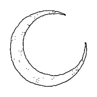moon eye Sticker