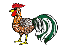 Rooster Chickens Sticker
