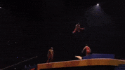 Happy Flip GIF by Ringling Bros. and Barnum & Bailey