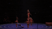 Circus Backflip GIF by Ringling Bros. and Barnum & Bailey