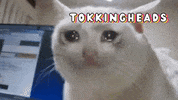 Meme Reaction GIF by Tokkingheads