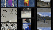John Sullivan GIF