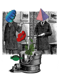 Seed Pod Motion GIF by RetroCollage