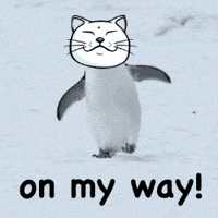 On My Way Cat GIF by ShiroNeko