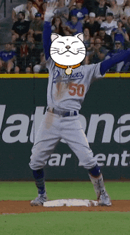 Cat Baseball GIF by ShiroNeko