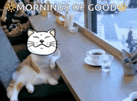 Happy GIF by ShiroNeko