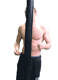 Hendrivermeer love calisthenics barbara streetworkout Sticker