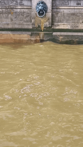 Simongip giphyupload GIF