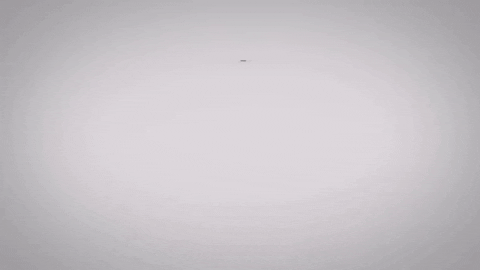 GIF by Atos Jiujitsu