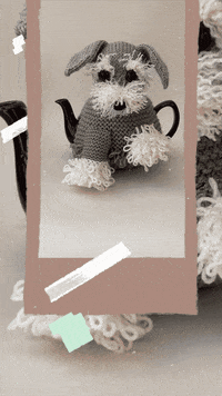 Miniature Schnauzer Beard GIF by TeaCosyFolk