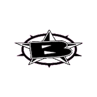 Blowsion jetski waverunner superjet kommander Sticker